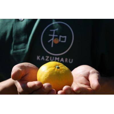 ふるさと納税 九度山町 【発送月固定定期便】家庭用柑橘定期便　4.5kg　10月〜5月まで期間限定全8回 |  | 01