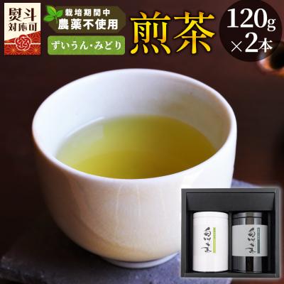 ふるさと納税 東白川村 栽培期間中 農薬不使用! 煎茶 ギフト NO.15 (ずいうん みどり各120g) 常磐園 日本茶