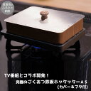 【ふるさと納税】★【TV番組とコラボ】貝塚発！究極のごくあつ鉄板ホッタッターA5(カバー＆フタ付)