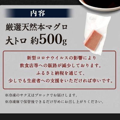 ふるさと納税 室戸市 厳選天然本マグロ　大トロたっぷり500g【数量限定】 |  | 02