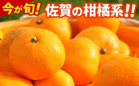 デコポン 不知火 約5kg  佐賀県産 みかん 柑橘類 ※配送不可：北海道、沖縄県、離島