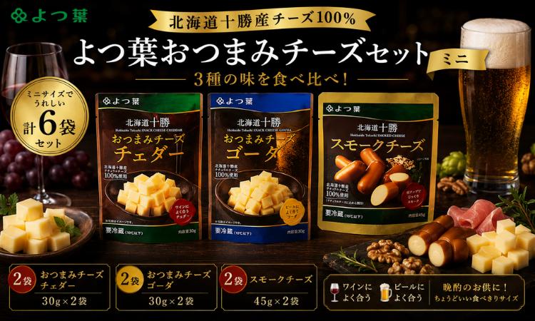 
                  北海道十勝産 よつ葉おつまみチーズセット ミニ 【 ふるさと納税 人気 おすすめ ランキング よつ葉 加工食品 乳製品 チーズ チェダー ゴーダ スモークチーズ おつまみ 贈答 プレゼント 贈り物 ギフト セット 北海道産 十勝産 北海道 鹿追町 送料無料 】 SKA024
                