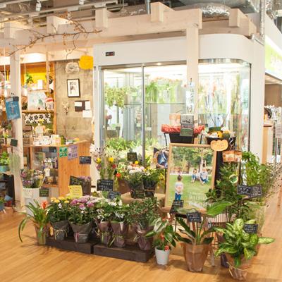 ふるさと納税 富良野市 【ギフト】フラワー アレンジメント 2種3点セット(ブルー紫)〈 ラベンダー の香りポプリ付〉 |  | 03