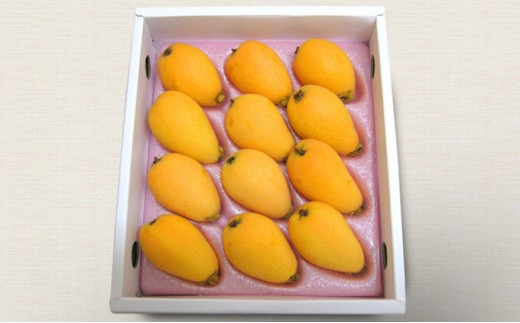 
                  先行予約 びわ 約500g 7～12粒 約1kg 贈答用 家庭用 なつたよりびわ 枇杷 5月下旬～6月下旬 配送 果物 フルーツ 果実 果汁 青果 完熟 新鮮 化粧箱 プレゼント ギフト 季節限定 旬 お歳暮 香川県 丸亀市
                