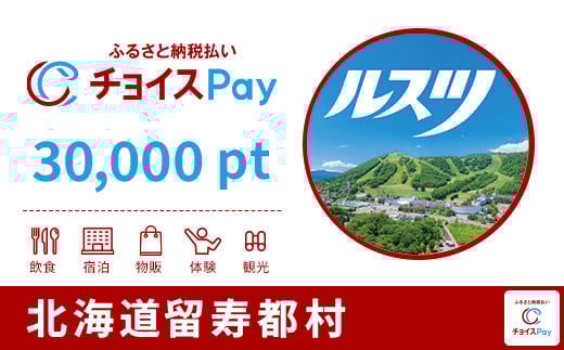 
留寿都村チョイスPay 30,000pt（1pt＝1円） 北海道 留寿都村 ルスツ ルスツリゾート リゾート 後志 ニセコ 近郊 【10040】【会員限定のお礼の品】
