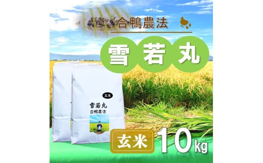 【令和7年産・玄米】ecofarmすがわらの合鴨農法雪若丸10kg※10月下旬頃から順次配送