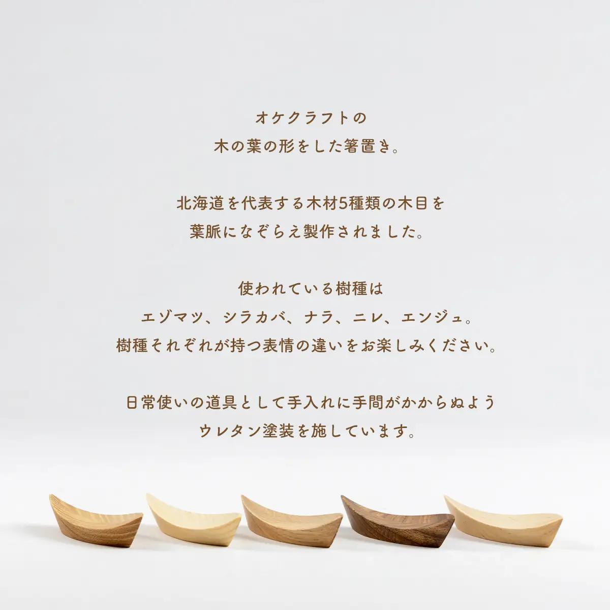 木の葉の箸置き 5樹種のセット（材質：エゾマツ、シラカバ、エンジュ、ナラ、ニレ各1個 計5個） OTA005
