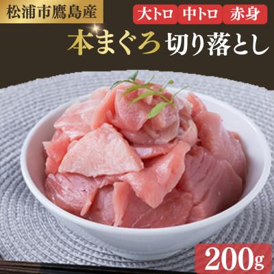 ふるさと納税 松浦市 鷹島産本まぐろ　赤中大切り落とし200g