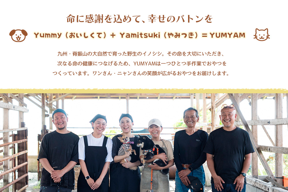 脊振ジビエの YUMYAM JERKY【ジビエ イノシシ ペットフード おやつ 低カロリー 高タンパク】(H121101)