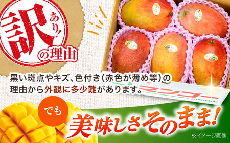 【先行予約 2026年発送 予約受付】 訳あり 完熟マンゴー 約4kg (約2kg×2箱) マンゴー 沖縄 果物 フルーツ ギフト 沖縄市 / ちゃんぷる～市場[BCAA007]