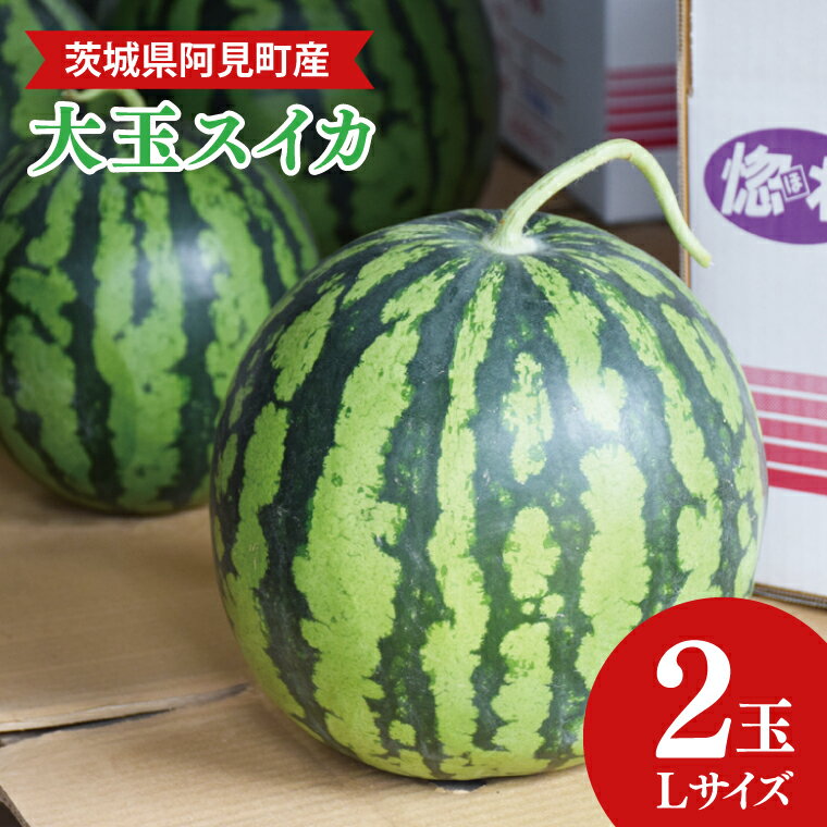 【ふるさと納税】【先行予約】【6月中旬～7月末まで発送】茨城県産大玉すいか2玉（Lサイズ）【吉田農園】【スイカ 西瓜 2玉 先行予約 6月 果物 フルーツ 国産 阿見町 甘い】(21-01-1)