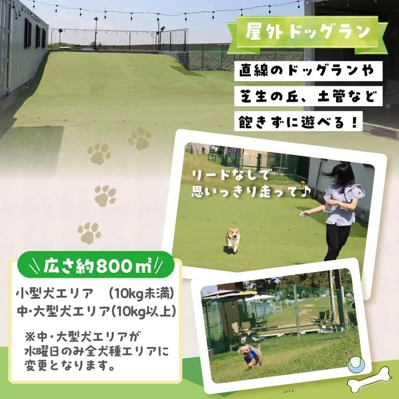 【TOWATERAメンバーズ】ドッグラン、ペットホテルなどをお得に利用できる「トワるん」会員入会＋ドッグラン3回分（1頭）｜ペット 常滑市
