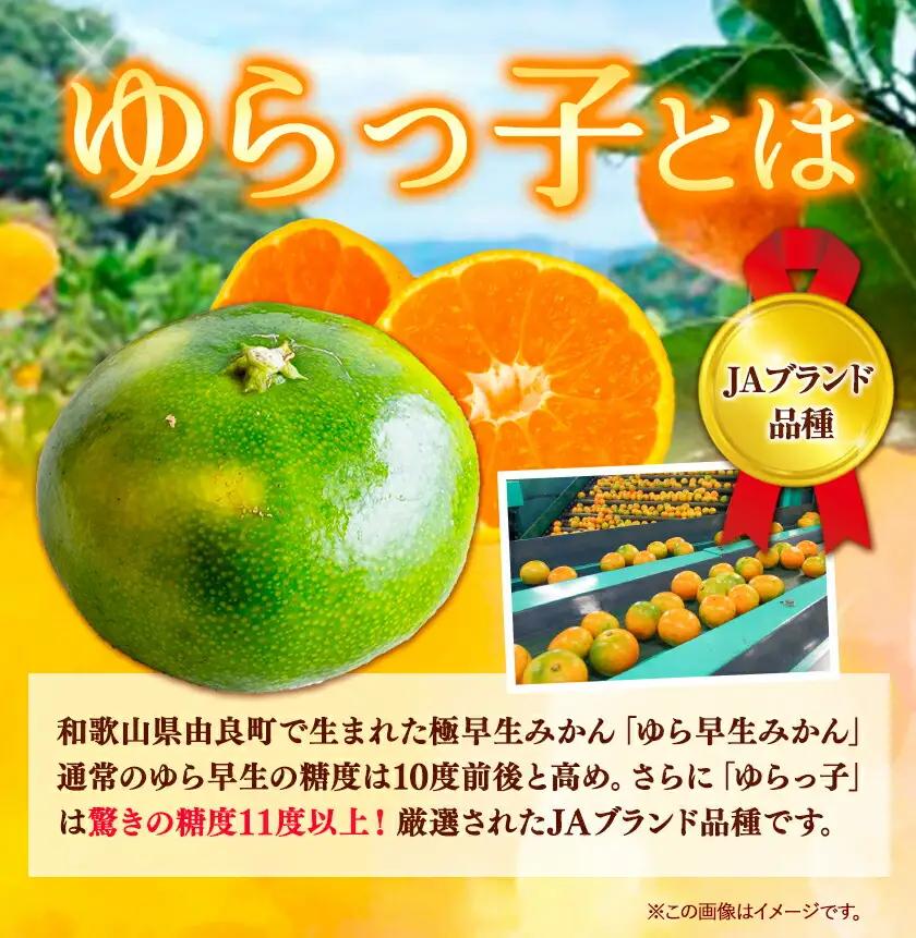 ゆら早生 みかん「ゆらっ子」 約5kg JA紀州産直店 さわやか日高（日高川町）みかん
