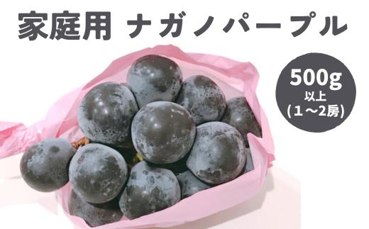 TK18-25A ぶどう ナガノパープル家庭用 500g以上 ／2025年9月上旬頃～配送予定 // 長野県 南信州 松川町産 種なし 皮ごと 南信州 長野県 オリジナル品種 稀少 人気 自家用