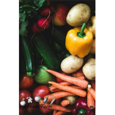 ふるさと納税 南国市 【毎月定期便】新鮮野菜 計9〜11品目全12回 |  | 02