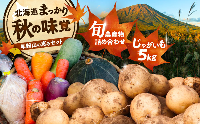 【2026年11月下旬以降発送】 秋の味覚お楽しみセット（じゃがいも5kg・旬の農産物詰め合わせ） | 野菜セット 野菜 詰合せ じゃがいも 季節の野菜 | 道の駅 真狩フラワーセンター [BPAM001]