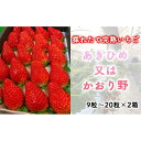 【ふるさと納税】先行予約・数量限定！ 採れたて完熟いちご あきひめ又はかおり野 9粒～20粒×2箱 | 果物 フルーツ いちご イチゴ 苺 食品 旬 季節限定 おすすめ 品種 産地直送 愛知県 大府市 美容 健康