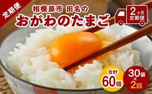 
【2ヶ月定期便】相模原市田名のおがわのたまご　ピンク卵 Mサイズ 30個(27個＋割れ補償3個)×2か月
| 卵 鶏卵 玉子 たまご 生卵 国産 濃厚 コク 旨味 旨み
