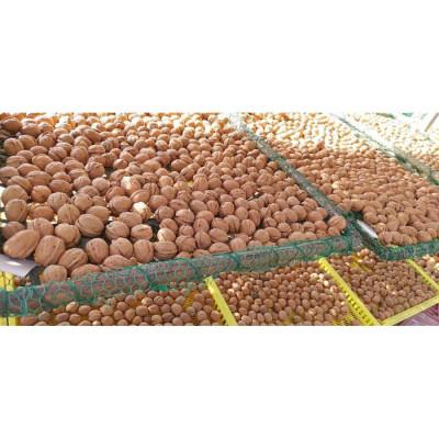 ふるさと納税 長野県 信濃くるみ【長野県東御市産ブランド】1kg(大粒) 殻付き 令和7年産 新物【国産】 |  | 01