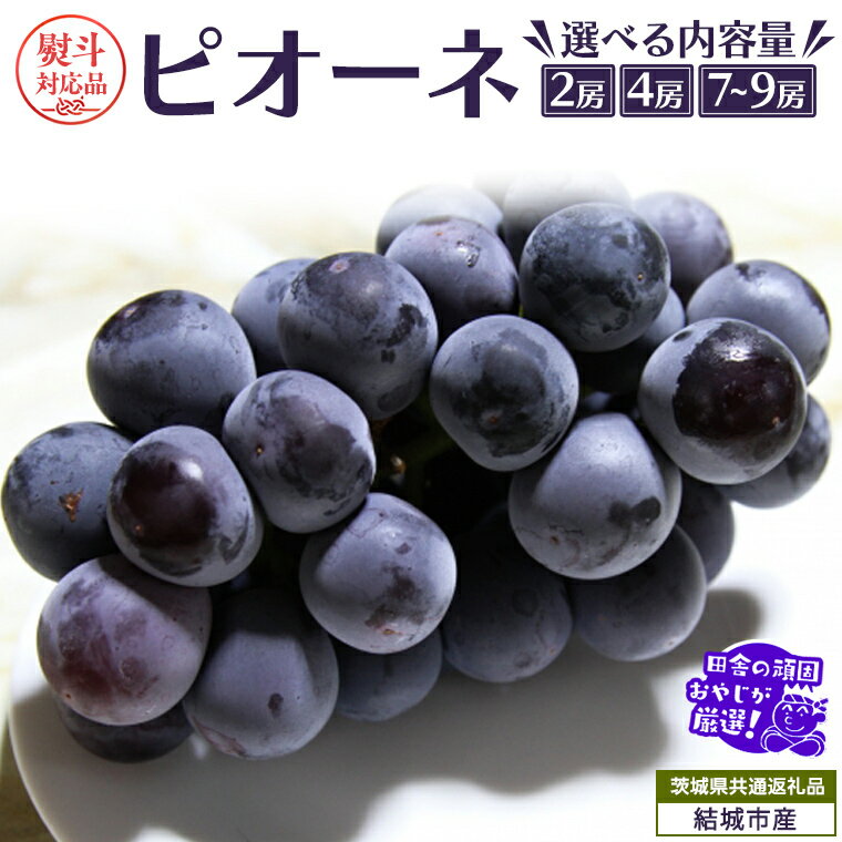 【ふるさと納税】＼ 選べる房数・熨斗対応 ／ ピオーネ 【2025年7月より発送開始】 （茨城県共通返礼品 [ぶどう]：結城市産） 田舎の頑固おやじが厳選！ ぶどう ブドウ 葡萄 大粒 ギフト お中元 甘い フルーツ 美味しい