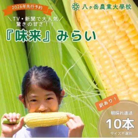 【数量限定!訳あり】フルーツのような甘さ『皮付き』生とうもろこし10本【2026年先行予約】【配送不可地域：離島】【1738515】