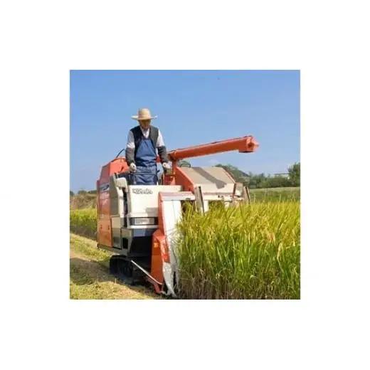 【 定期便 6回 】《 令和7年産 》千葉県産 コシヒカリ 10kg ／ 米 こめ コメ お米 おこめ コシヒカリ こしひかり 令和7年 白米 精米 ごはん 10kg 定期便 送料無料