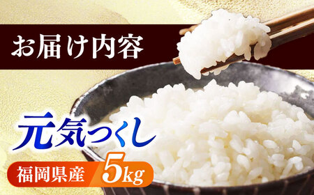 【令和6年産】果物屋さんが選んだ米 元気つくし 5kg 《築上町》【南国フルーツ株式会社】米 白米 お米 ブランド米[ABET010]