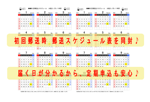 【月2回定期便】山もりたまご 20個 月2回 (2週に1回) 12ヶ月お届け