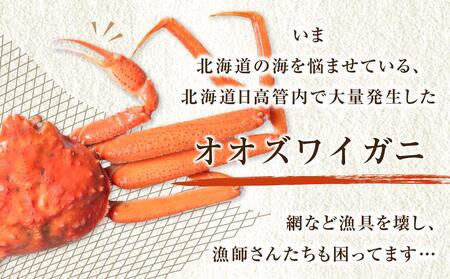 「訳あり」オオズワイガニボイル　2尾　合計約1.2kg