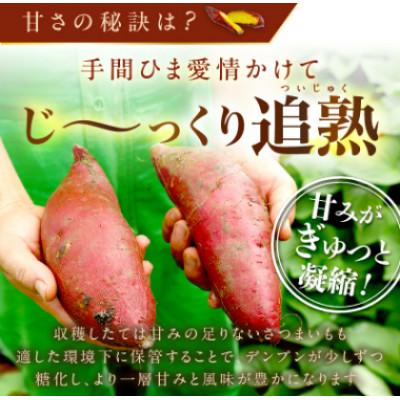 ふるさと納税 京丹後市 日本一!さつまいもオブザイヤー2部門受賞のサツマイモ農家が作る 冷凍焼き芋セット 計約1.5kg |  | 03