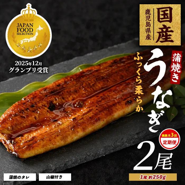 全３回定期便･偶数月お届け 鹿児島県産 うなぎ 蒲焼 じっくり焼き約250g×2尾 大新 IBZ021-002 定期便 定期便