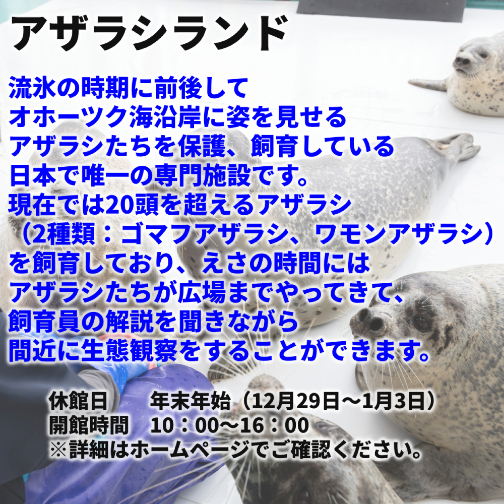17-79 ガリンコ号3 IMERU 冬期運航 流氷クルーズ乗船券（3施設入場券セット）