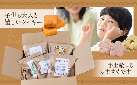 苓北 ヴィーガンクッキー 5袋 セット 洋菓子店Hana《30日以内に出荷予定(土日祝除く)》 熊本県 苓北町 送料無料 菓子 クッキー 卵 乳製品不使用 天草 熊本 送料無料 ビーガン