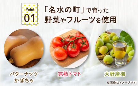 越前大野の「名水ジェラート」おまかせ16個セット
