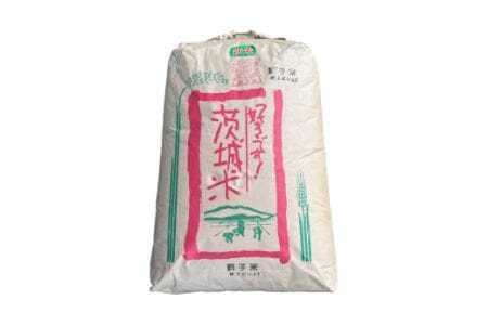 【令和7年産】獅子米 ゆうだい21 精米 10kg 岡田ファーム あなたが選ぶ日本一おいしい米コンテスト 最優秀金賞 受賞 お米 白米 米 おこめ ブランド米 ゆうだい ユウダイ21 10キロ 国産 