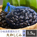 【ふるさと納税】118ひぬま産採れたて大和しじみ【冷蔵】1.5kg