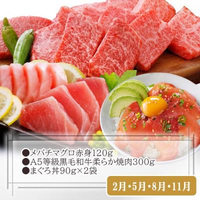 ふるさと納税 枕崎市 定期便3回配送　お楽しみ定期便(鹿児島県産お肉とかつお・まぐろ) EE-6015 |  | 02