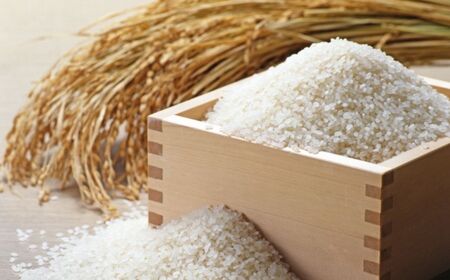 【令和7年産】ふっくりんこ5kg 小田切清志農園(2025年10月下旬より発送) NABJ003