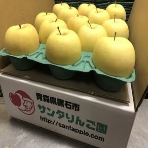 金星(きんせい)　家庭用　5kg_果物・フルーツ りんご  リンゴ 林檎_【1376865】