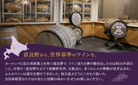 ワインセット ふらのワイン スペシャル 赤・白 ワインセット【6本】