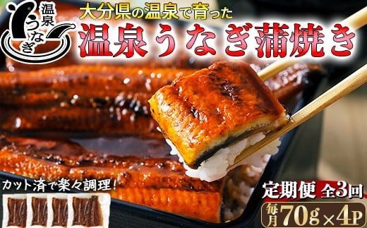 
            ＜定期便(毎月)全3回＞完全無投薬養殖！大分水産の温泉うなぎ蒲焼（カット）70g×4  ＜104-801＞
          