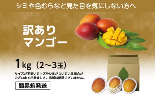 ＜熱帯資源植物研究所＞訳ありマンゴー１kg
