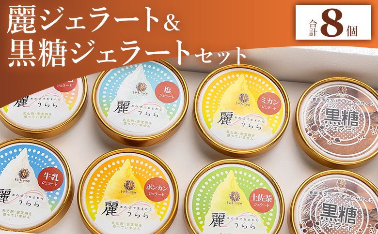 
            【ジェラート】麗ジェラートと黒糖ジェラート 8個セット - アイスクリーム デザート スイーツ お菓子 洋菓子 詰合せ 詰め合わせ アソート フレーバー ギフト 贈り物 ドルチェかがみ 高知県 香南市 冷凍 dc-0072
          