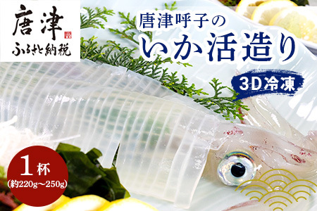 『先行予約』唐津呼子産いか活造り 1杯(約220g～250g) 急速冷凍 新鮮そのまま食卓へ！※水揚げあり次第7月以降順次発送させていただきます。