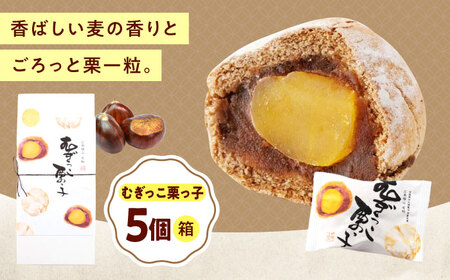 むぎっこ栗っ子（5入箱）[BAFL030] くりまんじゅう