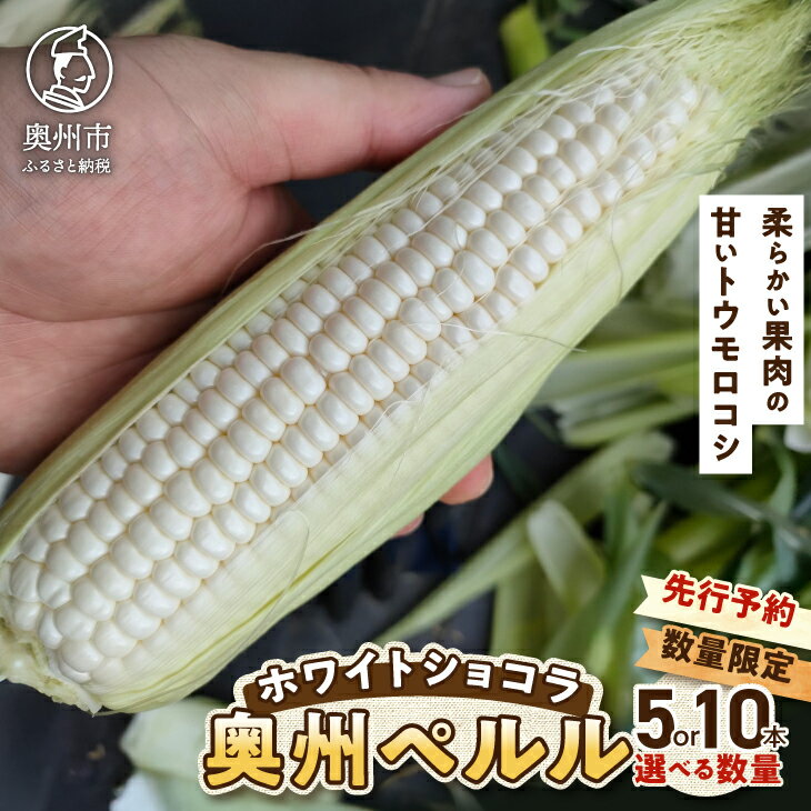 【ふるさと納税】 【先行予約】 白いとうもろこし 奥州ペルル ( ホワイトショコラ ) 5本/10本 【数量限定】 2026年7月中旬から出荷 離島配送不可 1本300g以上 糖度17度以上 メロン並みの糖度 個包装 期間限定 [T0012]