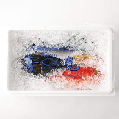 ふるさと納税 土佐清水市 【3回定期便】おまかせ!季節の鮮魚 お楽しみセット(シルバーコース)魚介 海鮮【J00034】 |  | 03