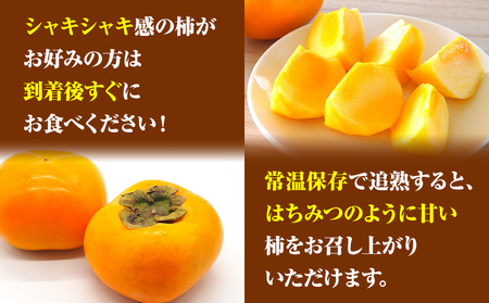 【先行予約】赤秀品 超大玉 刀根早生柿 約 1.7kg 6玉 紀農人株式会社《9月中旬-11月上旬頃出荷》 和歌山県 日高川町 果物 フルーツ 柿 かき 早生柿 旬