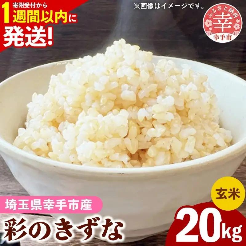 令和7年産【彩のきずな】玄米20kg 色彩選別済 Brown Rice - お米 ごはん 
