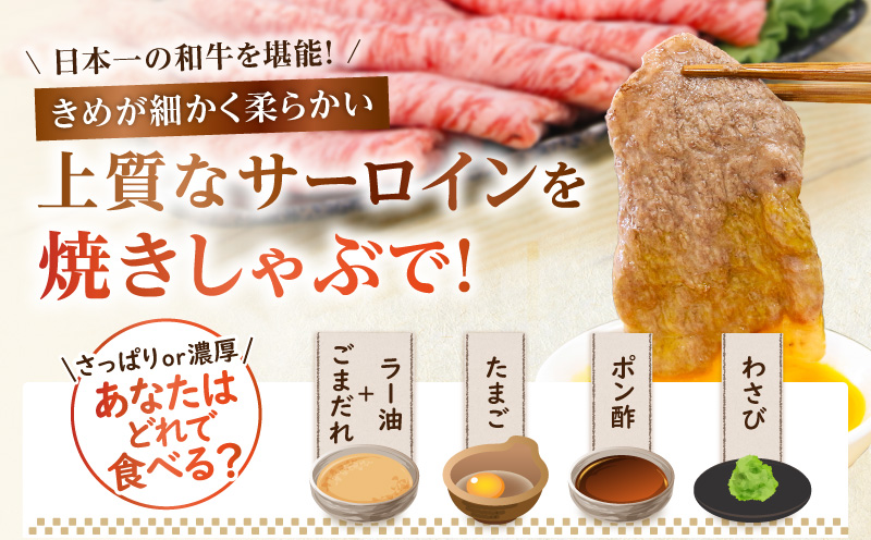 （KH-501）鹿児島黒牛サーロイン焼きしゃぶセット（計1kg）　K127-018_02